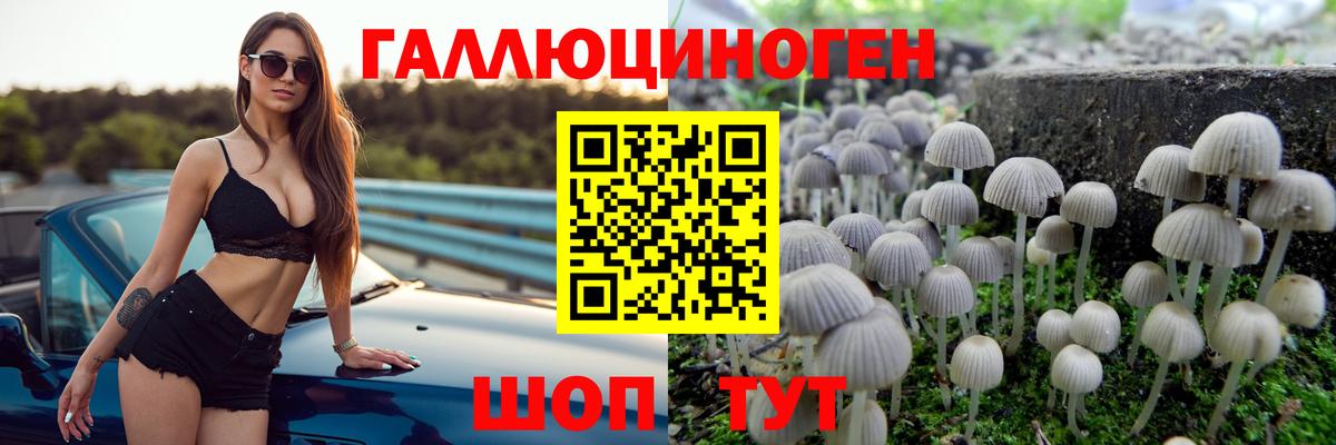 Елец  Галлюциногенные грибы Psilocybine cubensis  Вход с VPN  Галлюциногенные грибы мицелий 